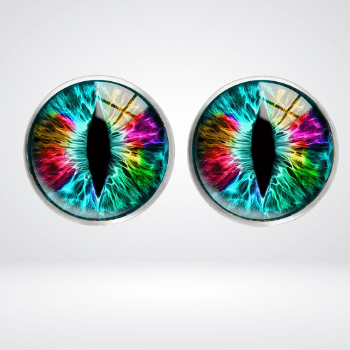 Dragon Eye Earrings