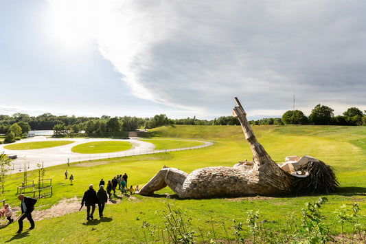 Liakara picture from Tomorrowland stock photos showcasing nature in a rave.
