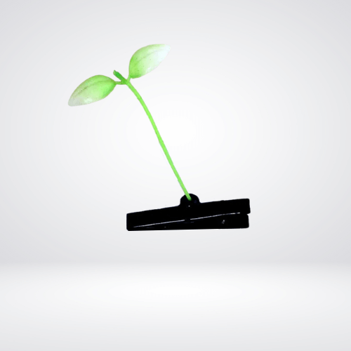 Festival Hair Accessories