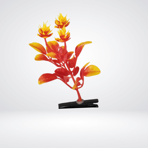 Festival Hair Accessories