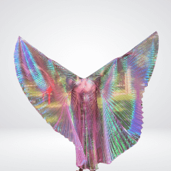 holo wings