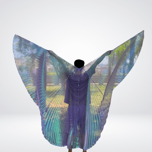 festival angel wings