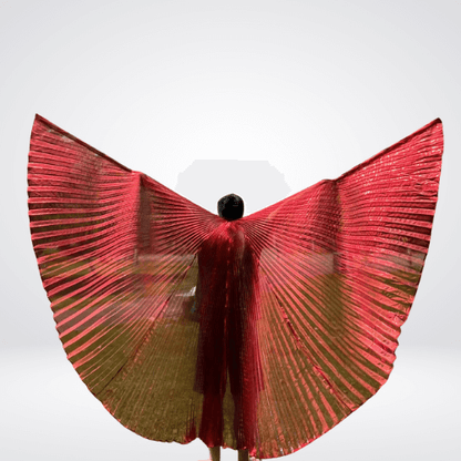 holographic angel wings