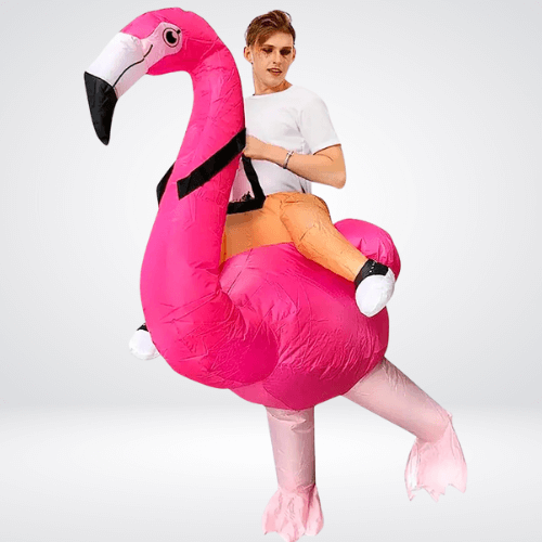 Inflatable Flamingo Costume