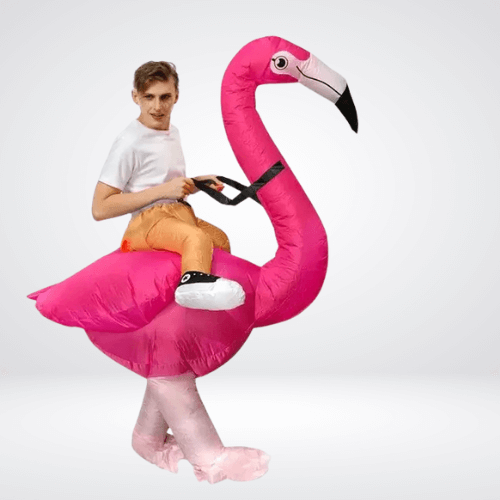 Inflatable Flamingo Costume
