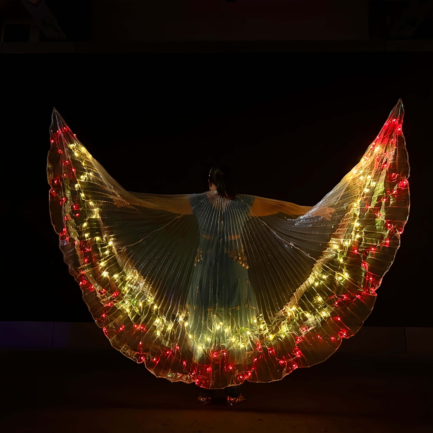 Led Angel Wings