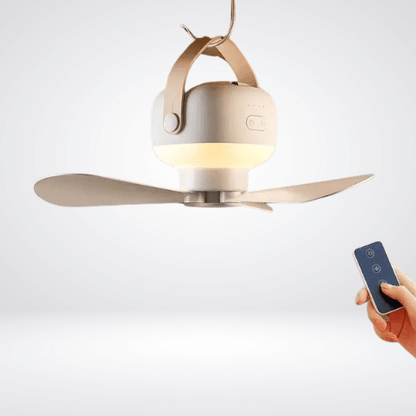 Small Ceiling Fan With Light