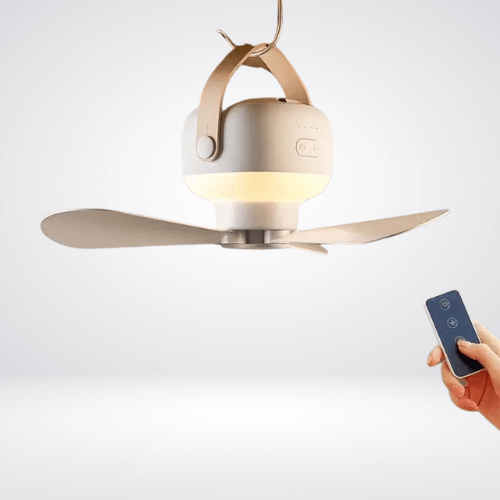 Small Ceiling Fan With Light