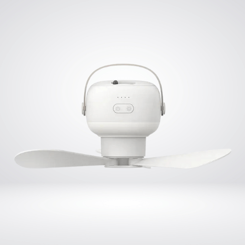 Small Ceiling Fan With Light