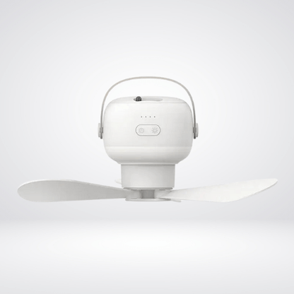Small Ceiling Fan With Light