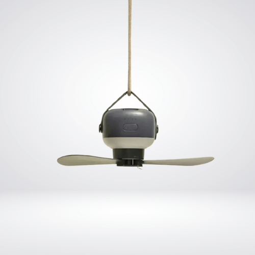 Small Ceiling Fan With Light
