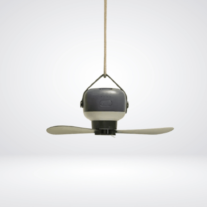 Small Ceiling Fan With Light