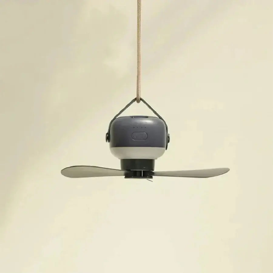 Small Ceiling Fan With Light