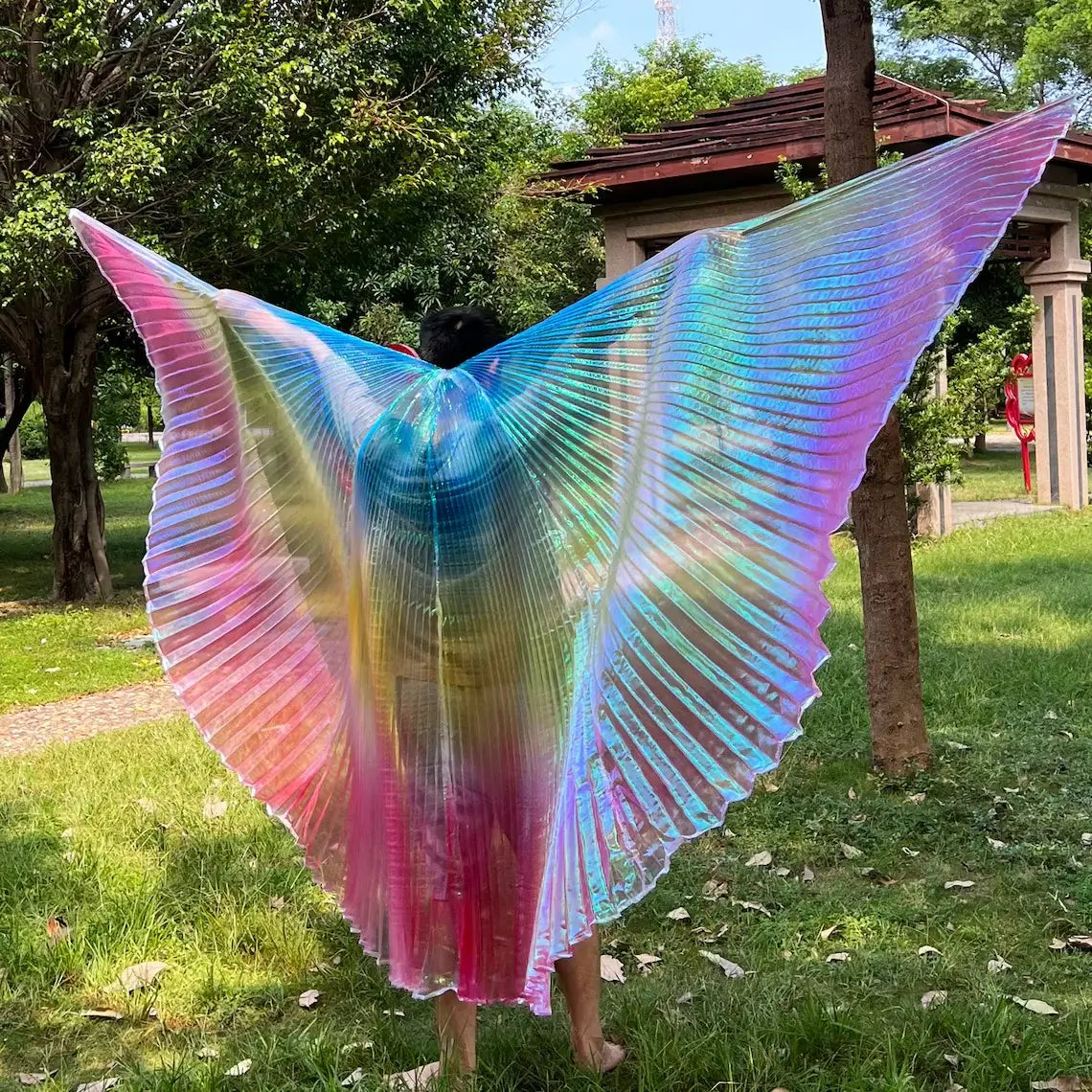 holo wings